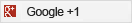Google +